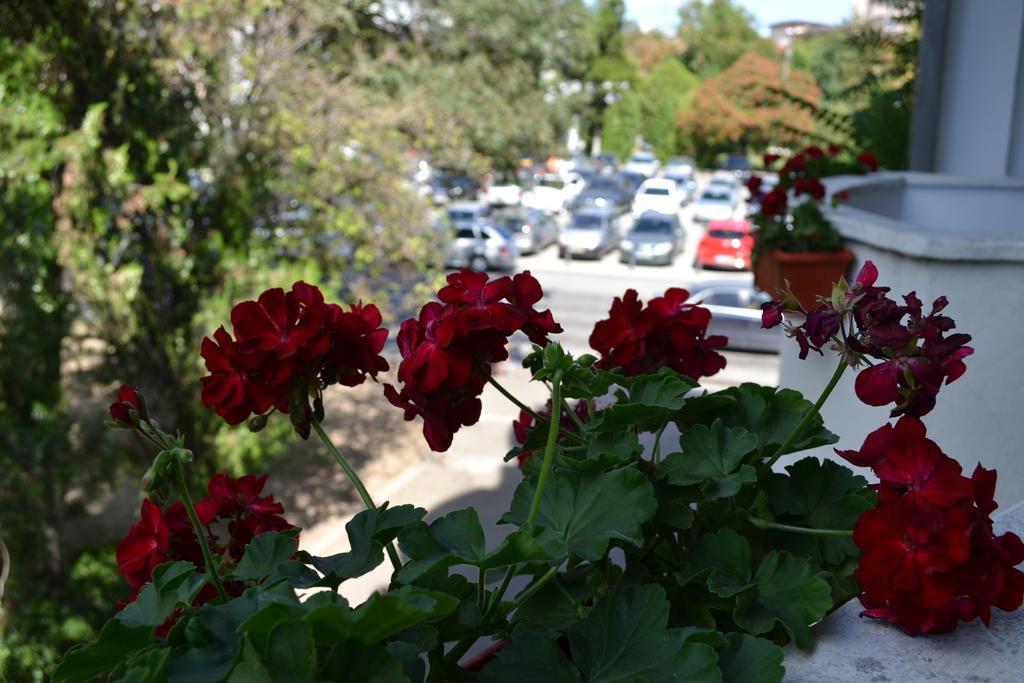 Casa De Oaspeti Sfantul Nicolae ยาช ภายนอก รูปภาพ